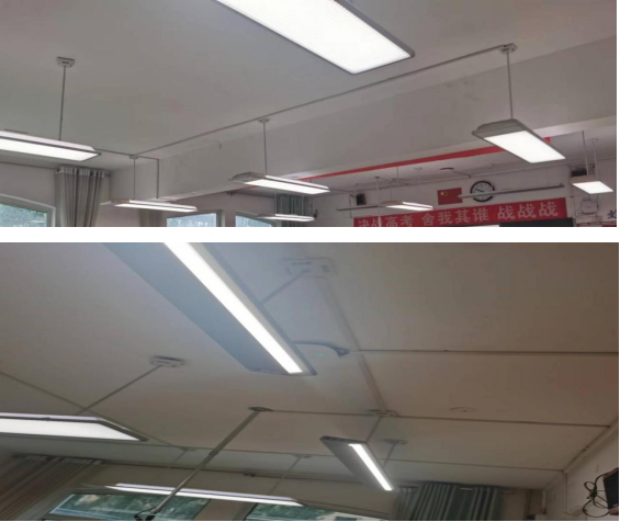 绿色转型，节能攻坚！市教育局全力打造节约型绿色校园  第3张