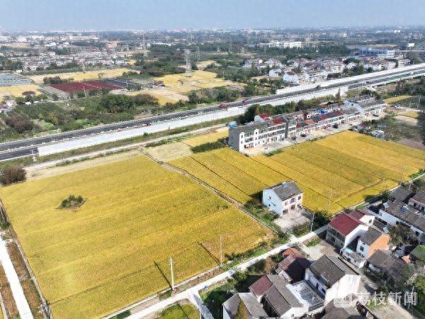 2.6 万吨储备粮轮换任务，武进粮食物流园全力保障颗粒归仓