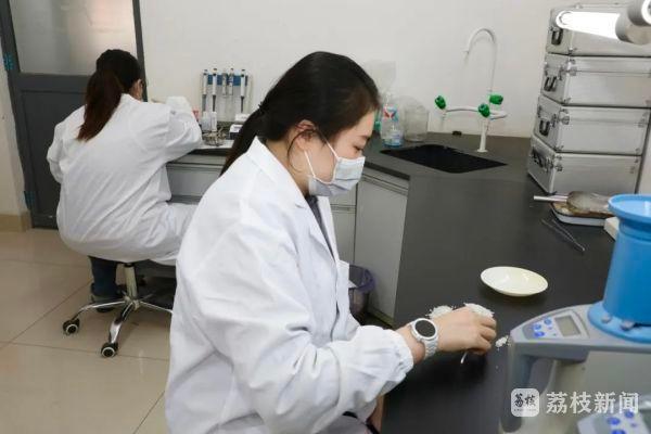 2.6 万吨储备粮轮换任务，武进粮食物流园全力保障颗粒归仓  第6张