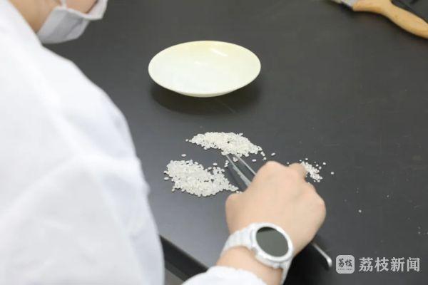 2.6 万吨储备粮轮换任务，武进粮食物流园全力保障颗粒归仓  第7张