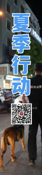 洞口公安：小案快侦快破，守护群众平安  第5张