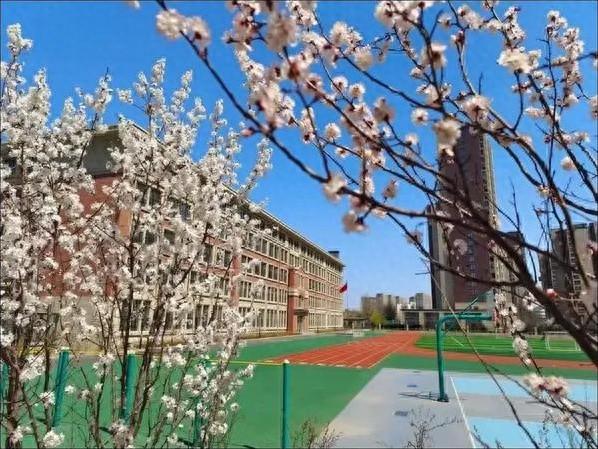 2024 年老百姓身边好学校巡礼：走进杏坛中学云海分校，见证学生成长  第1张
