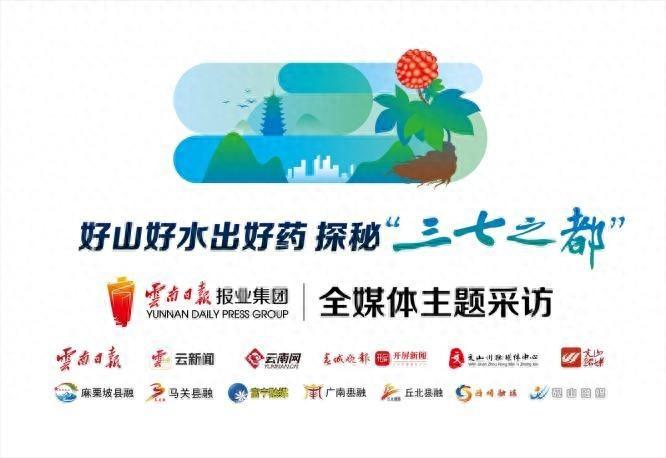 探秘‘三七之都’！云南文山，这个地方凭什么成为中国三七之乡？  第1张