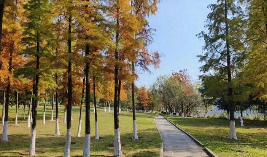 章贡区城管局对章江国家湿地公园进行微改造，提升市民休闲体验