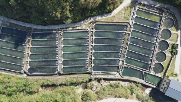 商南县：全域治水，打造幸福河湖，实现乡村蝶变  第1张