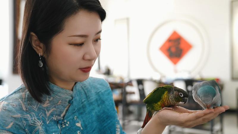 她竟用鹦鹉将传统青花艺术推向新高度  第2张
