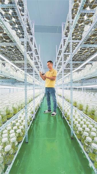 他回乡创业，用高科技让特色种植效益翻倍，年入 300 万