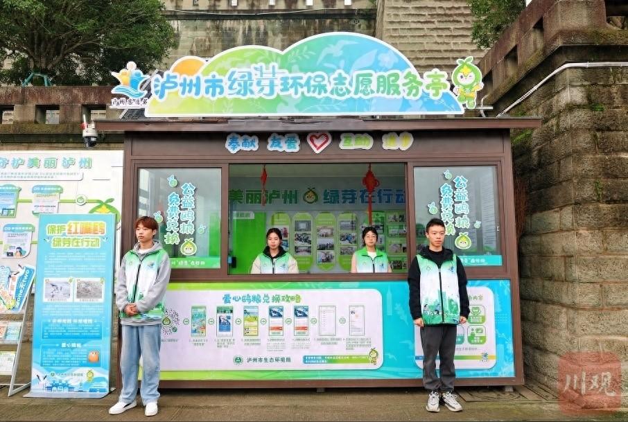 泸州新面貌迎接老朋友红嘴鸥，今年还有哪些惊喜？  第1张