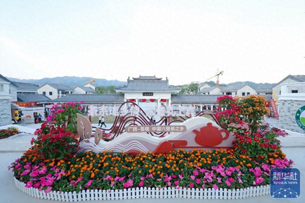 快来苍梧县，沉浸式体验六堡茶茶文旅新业态  第1张
