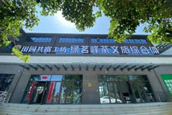 松阳香茶非遗工坊：传承千年技艺，助力乡村振兴