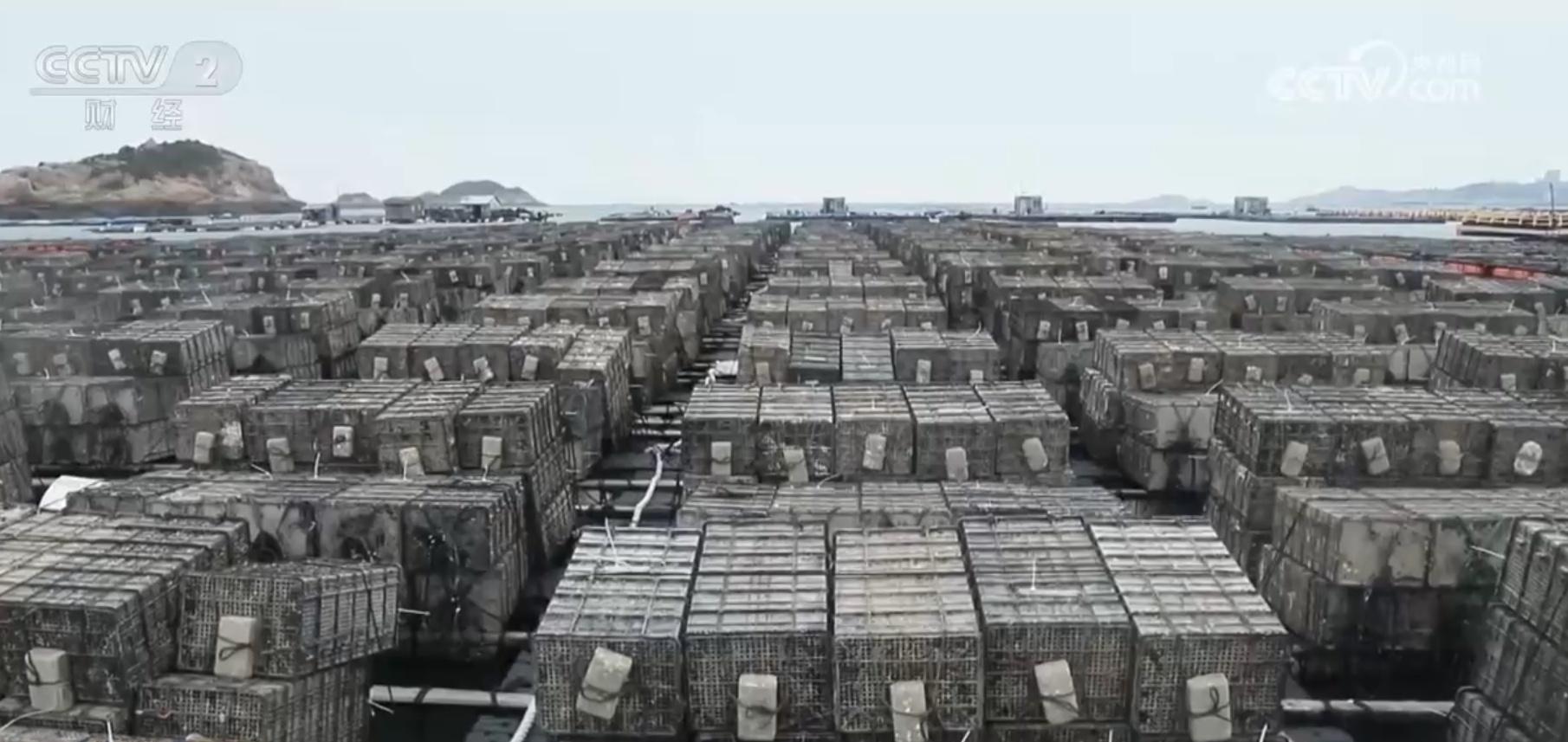26000 多亩大红柑迎来收获季，加工厂每天用工 200 多人，你还不来看看？  第3张