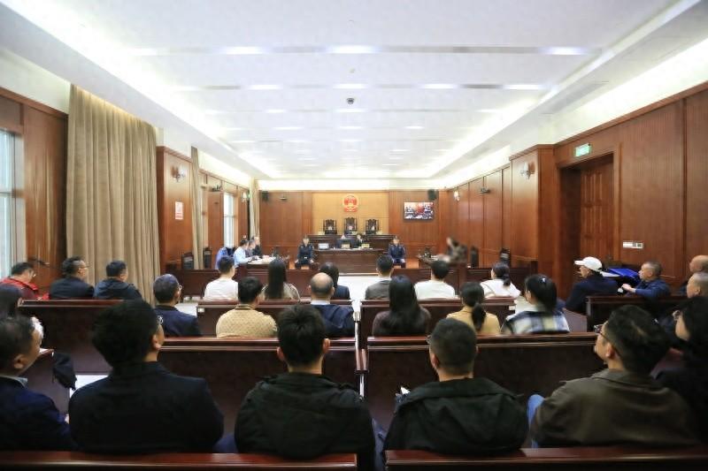 提升依法行政水平，庭审观摩活动带来新启示