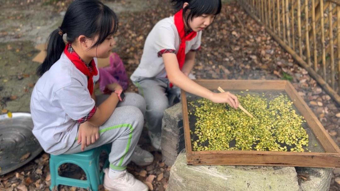 从收毛豆到喝烘豆茶，德清县雷甸小学通航校区的学生们竟体验了这么多  第2张