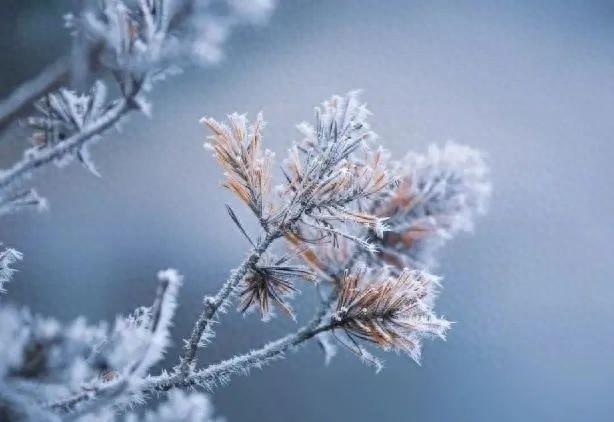 11 月 15 至 18 日陕西将迎大范围雨雪降温，局地降幅超 10℃！你准备好了吗？  第1张