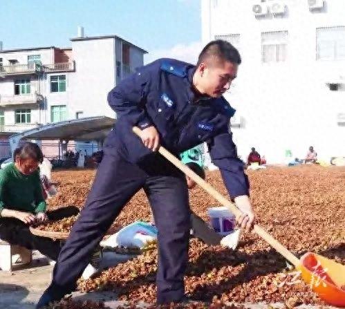 10 万公斤茶果晾晒难，派出所伸出援手，这是怎么回事？  第1张