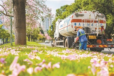 广州清晨：水上环卫工守护粉色花海，人与自然和谐共生的美丽画卷  第5张