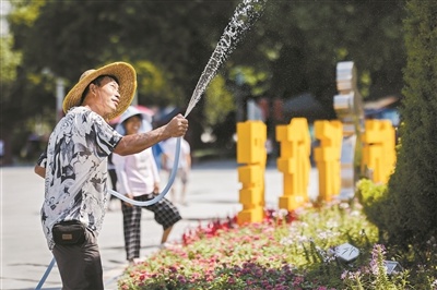 广州清晨：水上环卫工守护粉色花海，人与自然和谐共生的美丽画卷  第7张