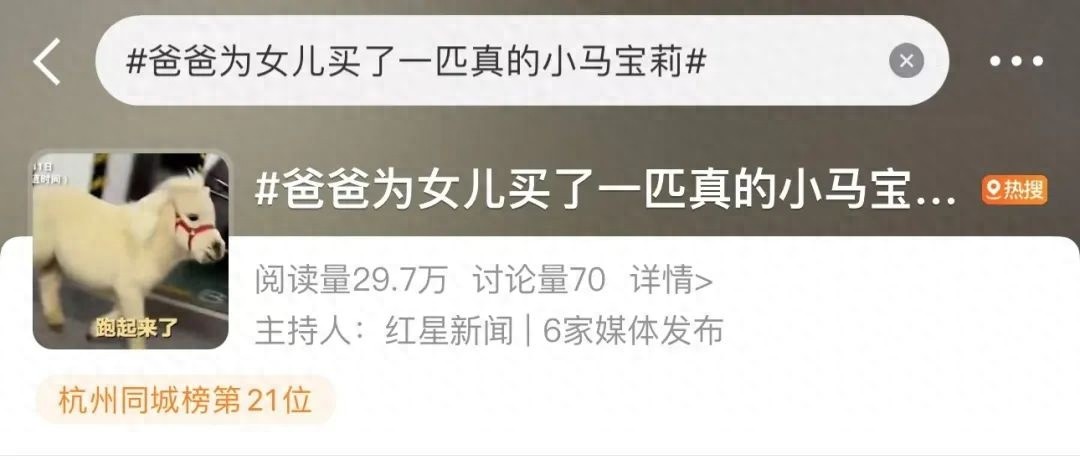 父亲为女儿买真小马，网友：这是什么神仙爸爸？