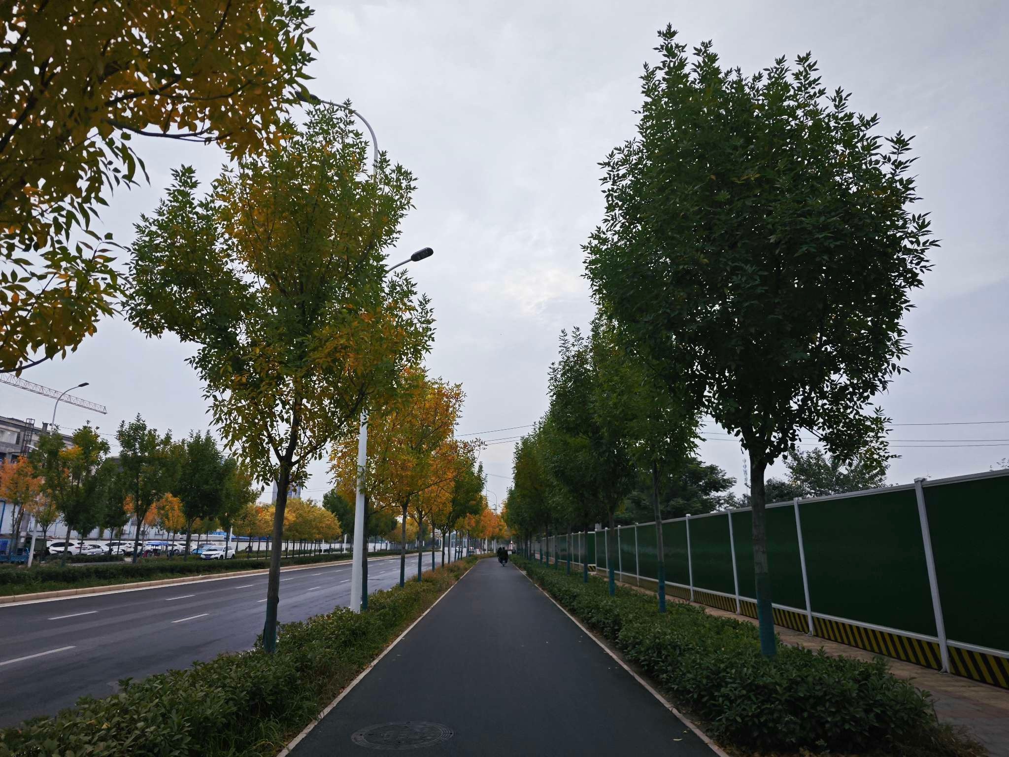 河南大风降温来袭，零下7℃+6级阵风，你准备好迎接极寒挑战了吗？  第2张