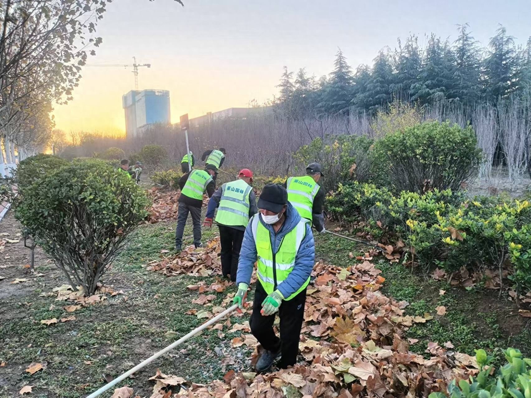 冬季园林养护大揭秘：140名工人如何守护城市绿意？  第1张