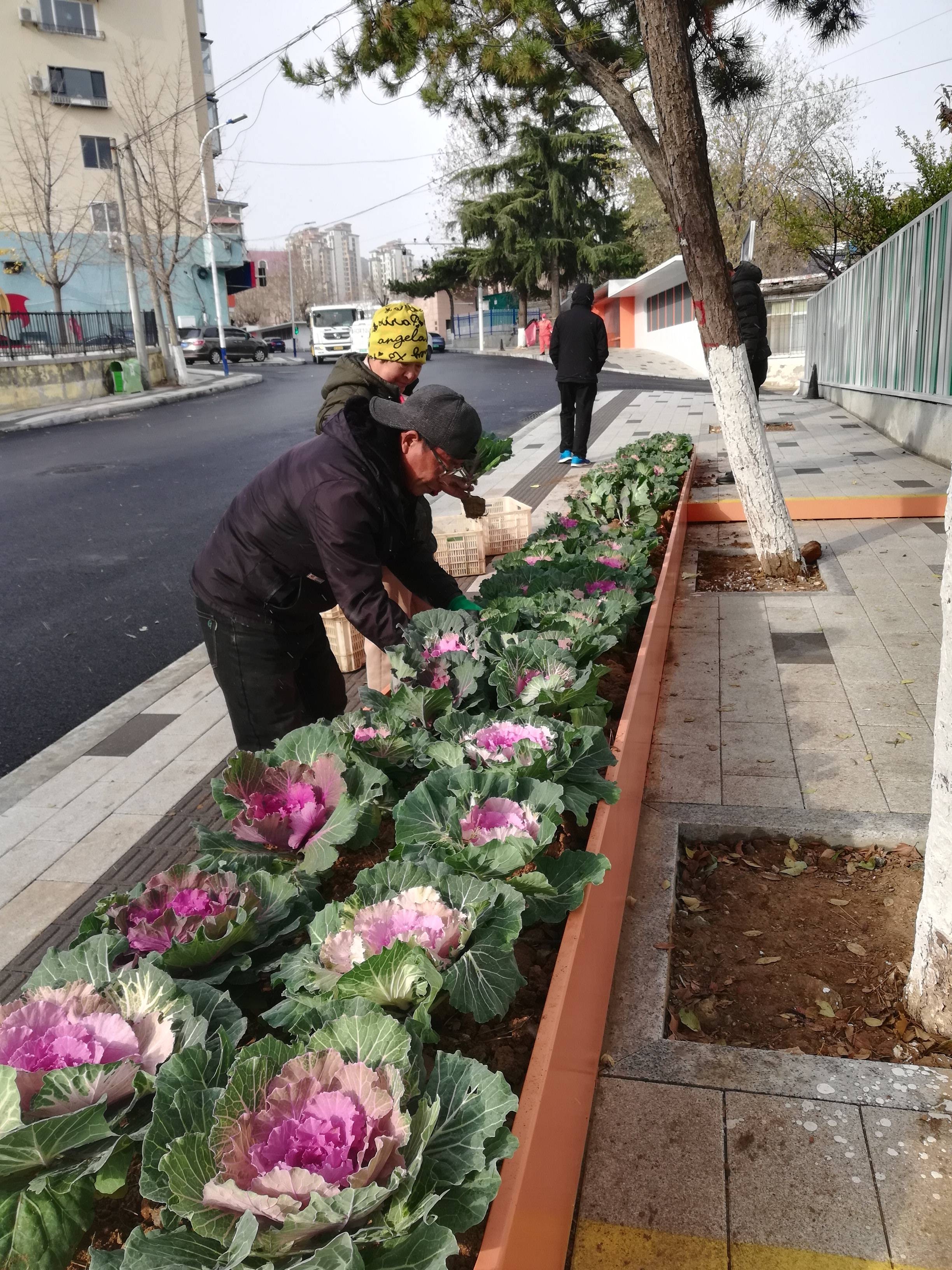 冬季园林养护大揭秘：140名工人如何守护城市绿意？  第4张