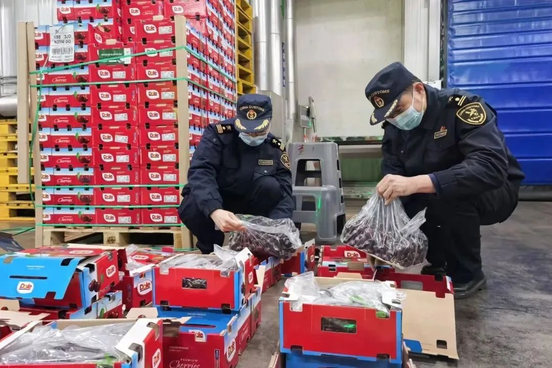 车厘子价格暴跌！今年你还能愉快地开炫吗？  第2张