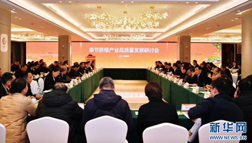 奉节脐橙产业高质量发展研讨会：专家齐聚，为全国脐橙第一县把脉定向  第1张