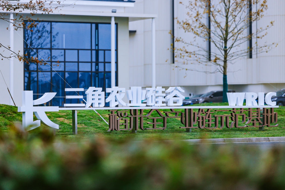 揭秘大米界的奥运会：第五届国际米食味品鉴大会中国赛区总决赛盛况  第4张