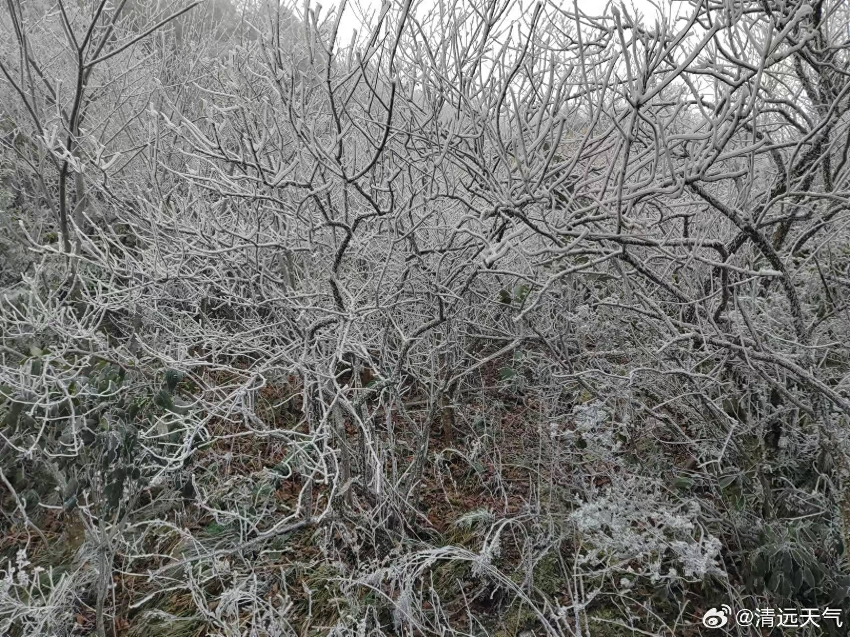广东惊现琉璃世界！金子山雾凇漫山遍野，银装素裹，美丽冻人，你敢来挑战吗？  第1张