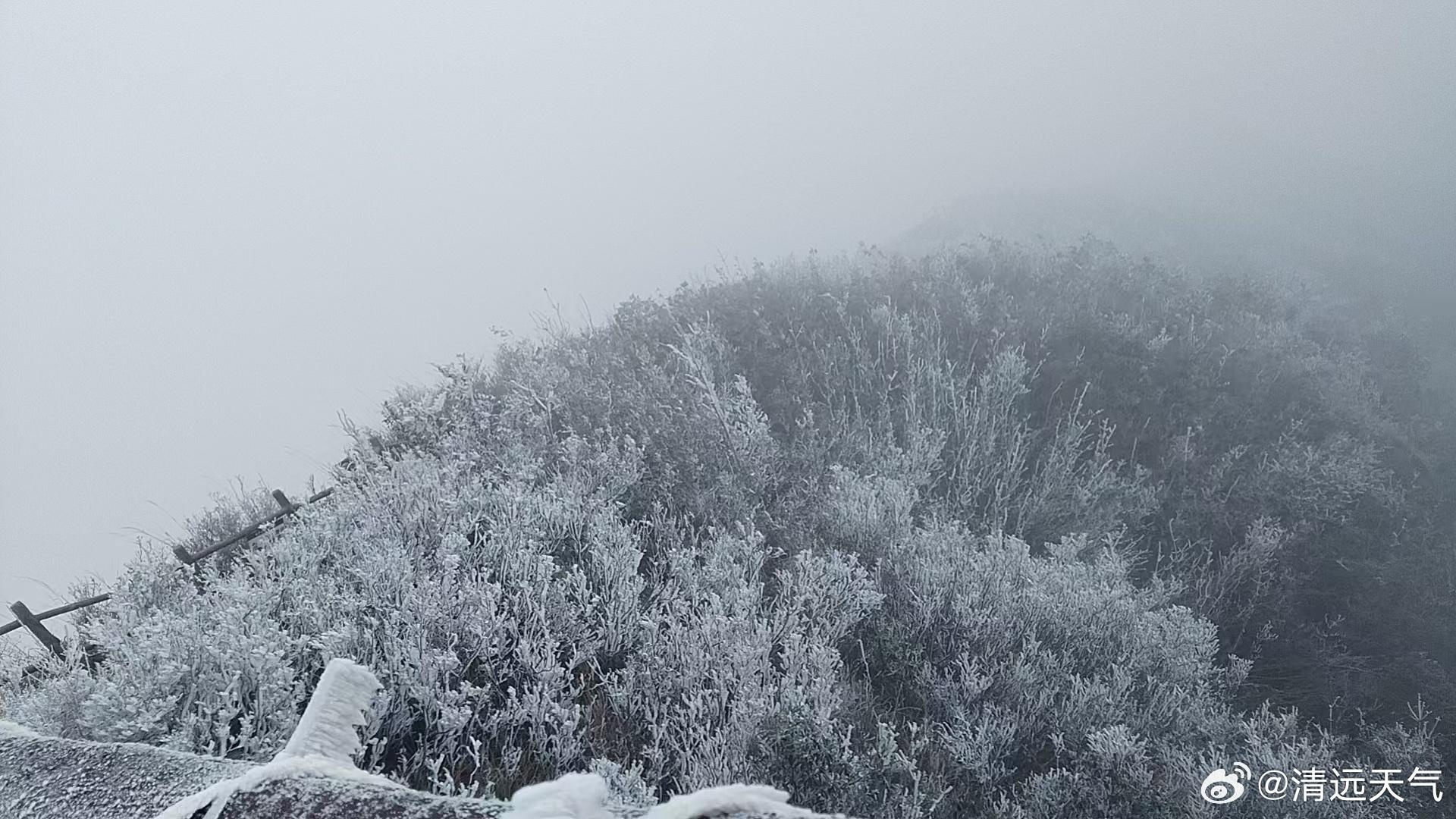 广东惊现琉璃世界！金子山雾凇漫山遍野，银装素裹，美丽冻人，你敢来挑战吗？  第4张