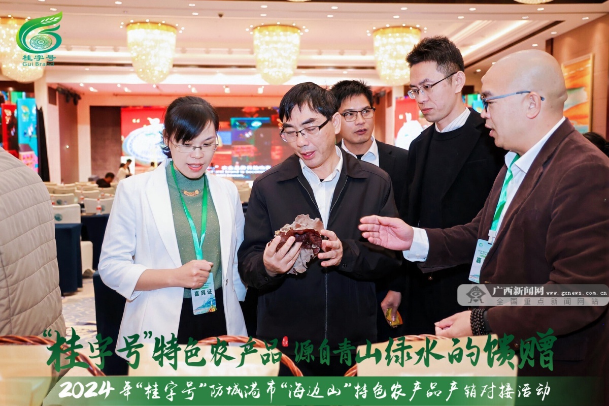 震撼！2024年防城港市农产品产销对接活动背后的大动作  第4张