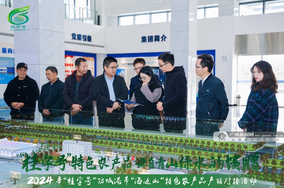 震撼！2024年防城港市农产品产销对接活动背后的大动作  第8张