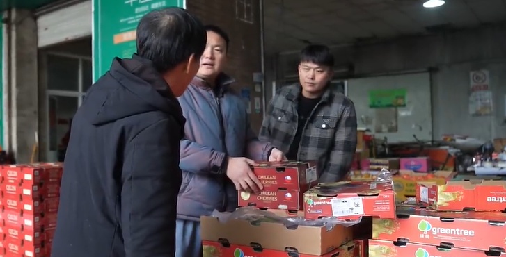 车厘子自由来了！1.1万吨智利车厘子空降广州，价格暴跌引爆抢购潮  第4张