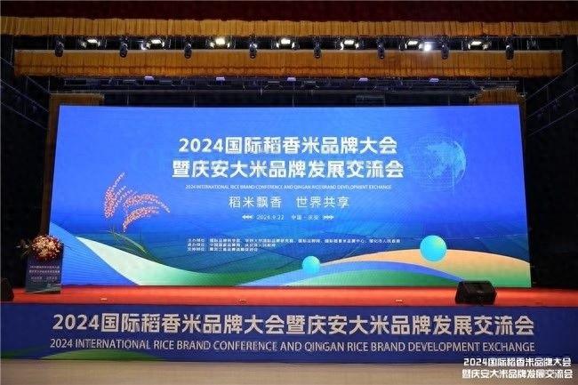 全球稻米产业专家齐聚庆安，共商发展大计  第1张