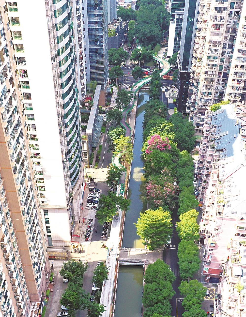 福州中心城区首条高空景观步道即将完工，元旦前投用  第2张