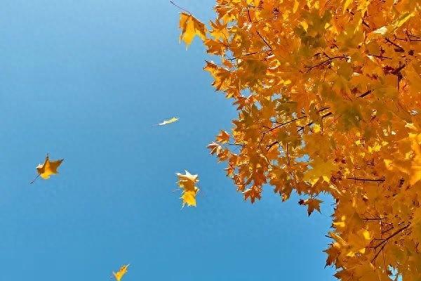 大降温！最低气温将跌至 0℃！你的秋裤准备好了吗？  第1张