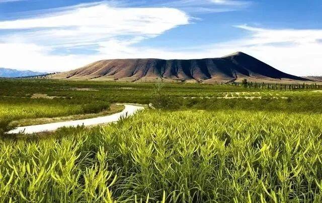 近千名越野跑者齐聚大同火山群，雨中激情开赛  第2张