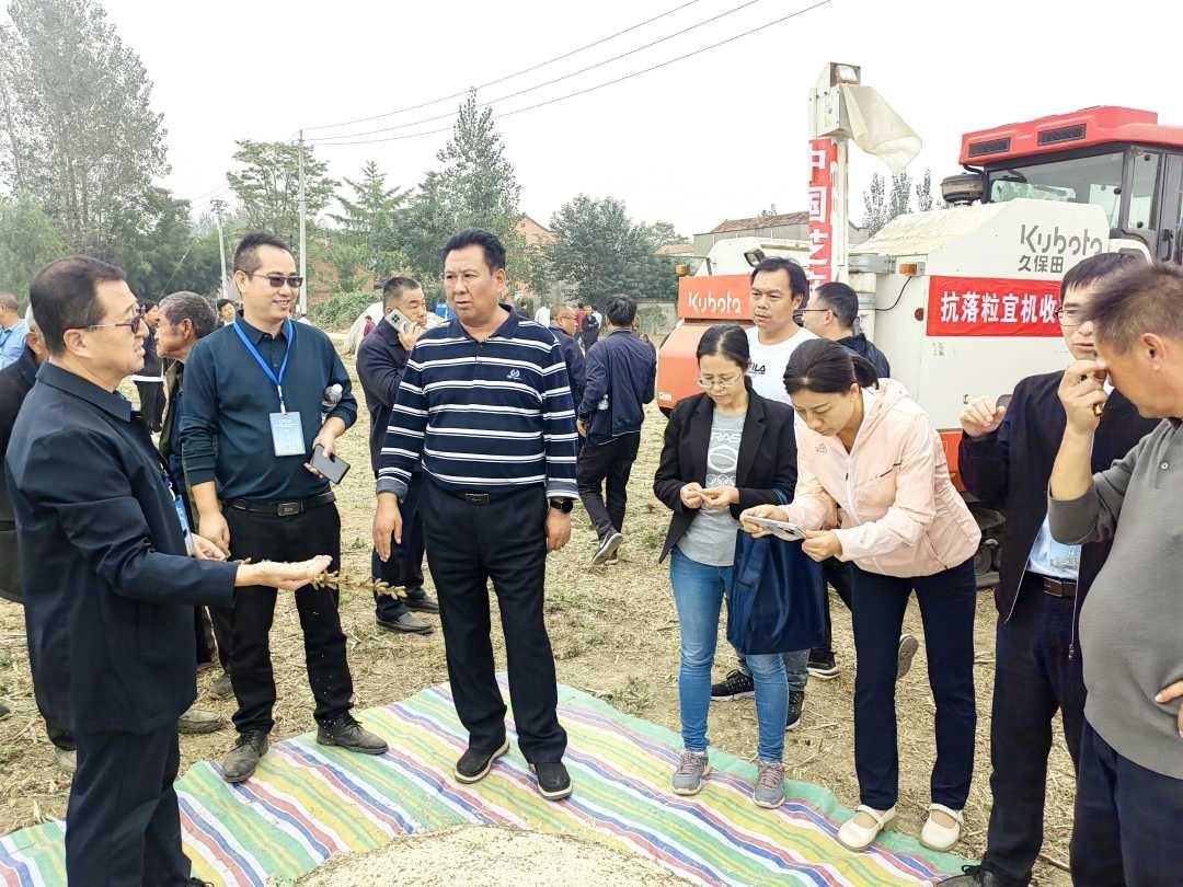 3 台芝麻收割机引发 400 多人赞叹,宜机收芝麻技术改变中国芝麻生产方式 第2张 3 台芝麻收割机引发 400 多人赞叹,宜机收芝麻技术改变中国芝麻生产方式 第2张