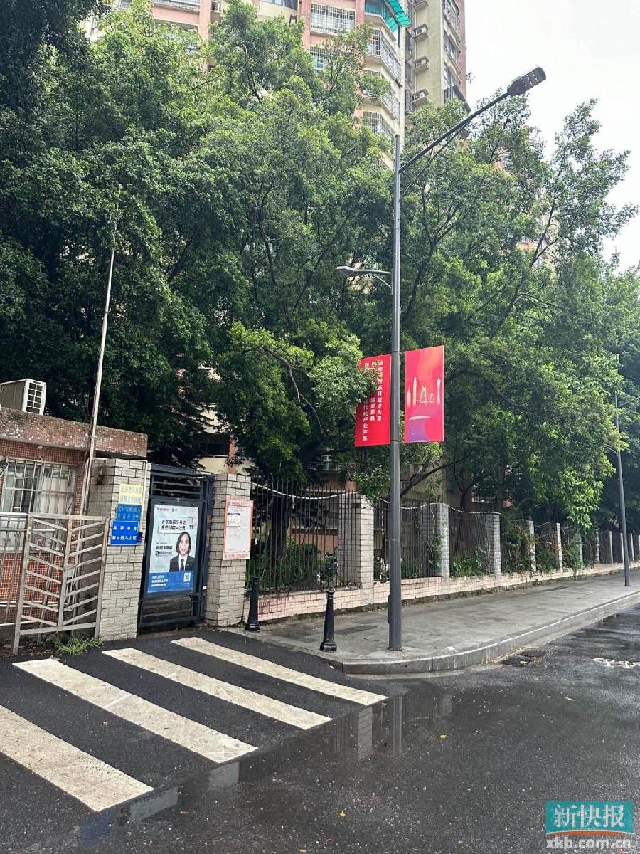 废弃电线杆和电线交错，安全隐患何时休？  第2张