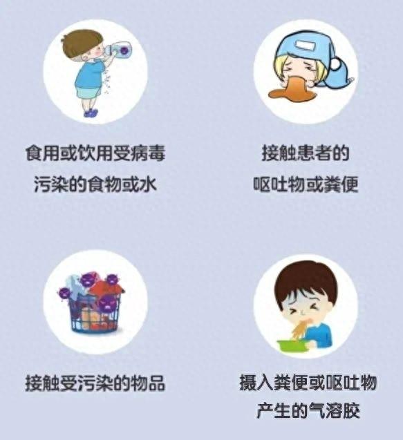 秋冬季呕吐腹泻频发，竟是诺如病毒在作祟
