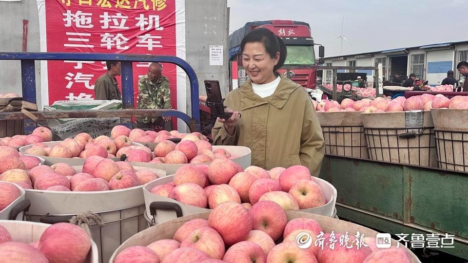 金秋十月，烟台苹果丰收，果农却为何着急上火？  第3张