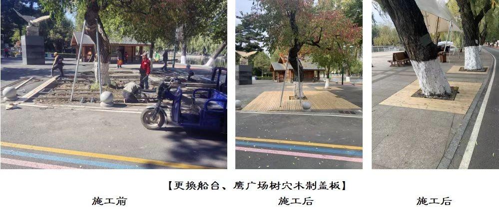 胜利公园基础设施维修维护及提升工作取得阶段性成果，快来看看吧  第2张