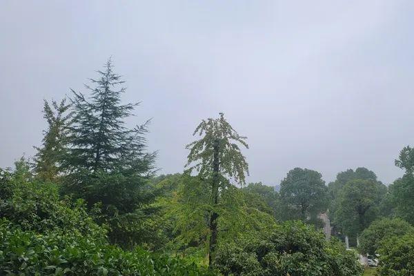 湖南今明两天有雨，湘北湘中部分地区将迎大到暴雨  第4张