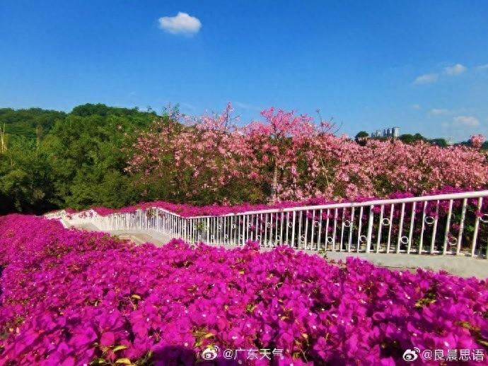 广东天气大揭秘！15 日气温波动惊人，你那里还好吗？  第1张