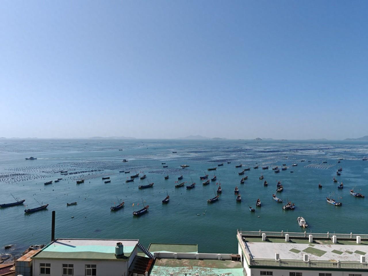 海洋碳汇开发及交易管理办法出台，蓝碳富民新路径加速构建  第1张