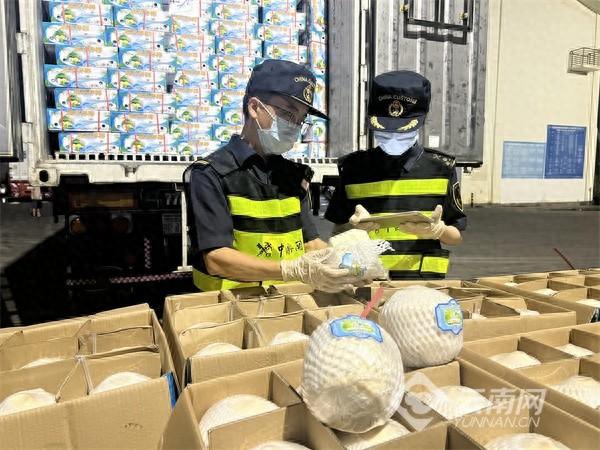 全国首票！30 吨越南鲜食椰子陆运进口，你吃过吗？