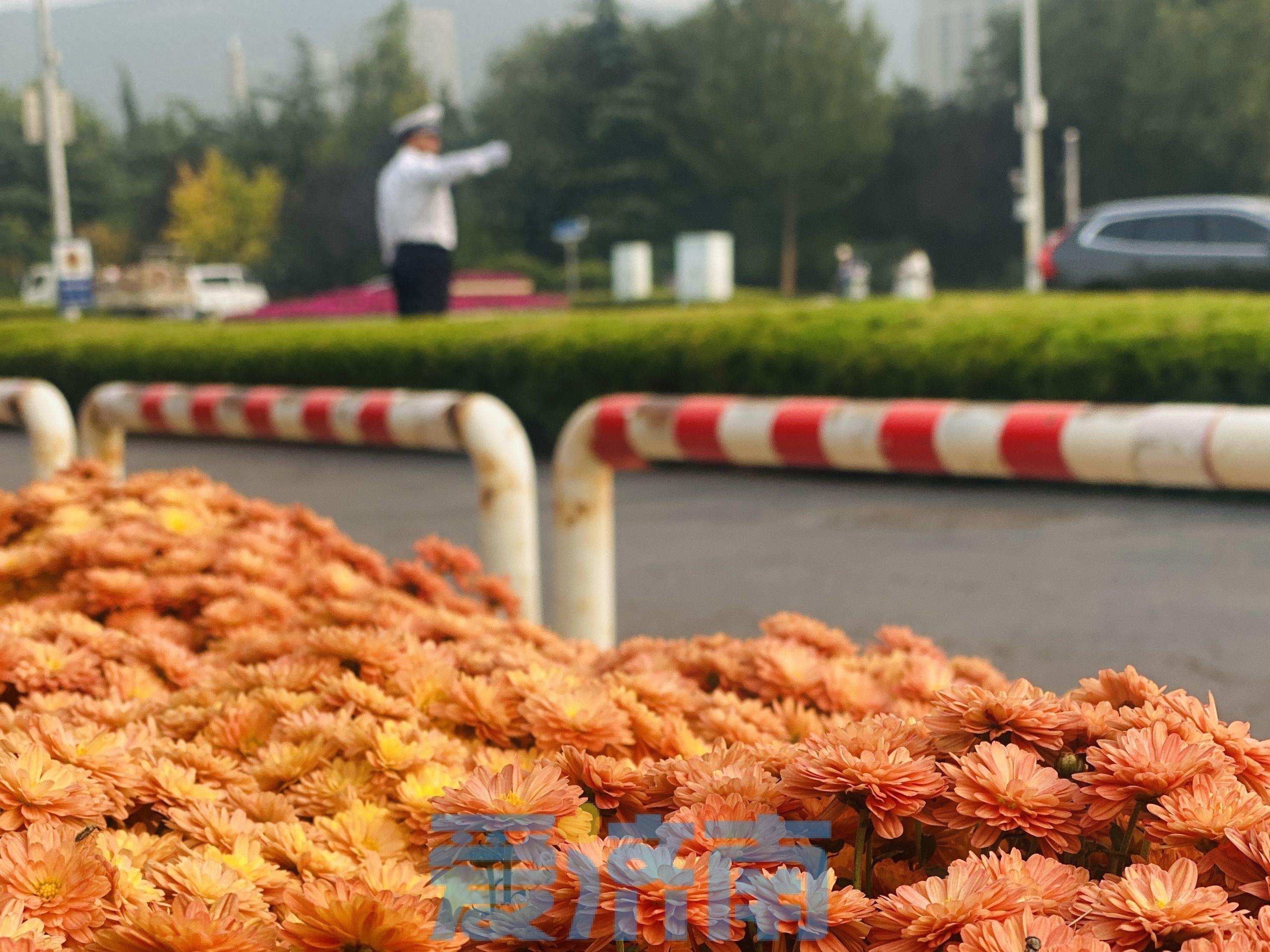 济南明日起将迎强冷空气，气温骤降！你准备好了吗？  第1张