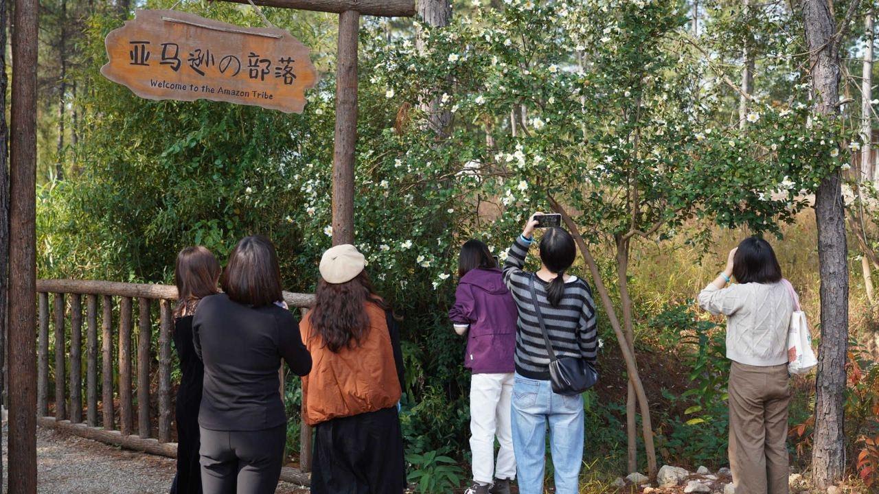 湖州采风行：网络达人带你领略乡村发展与文化碰撞的火花  第7张