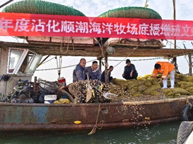 120 吨文蛤、四角哈蜊苗种投放沾化海域,滨海镇海上粮仓建设迈出坚实一步 第1张 120 吨文蛤、四角哈蜊苗种投放沾化海域,滨海镇海上粮仓建设迈出坚实一步 第1张