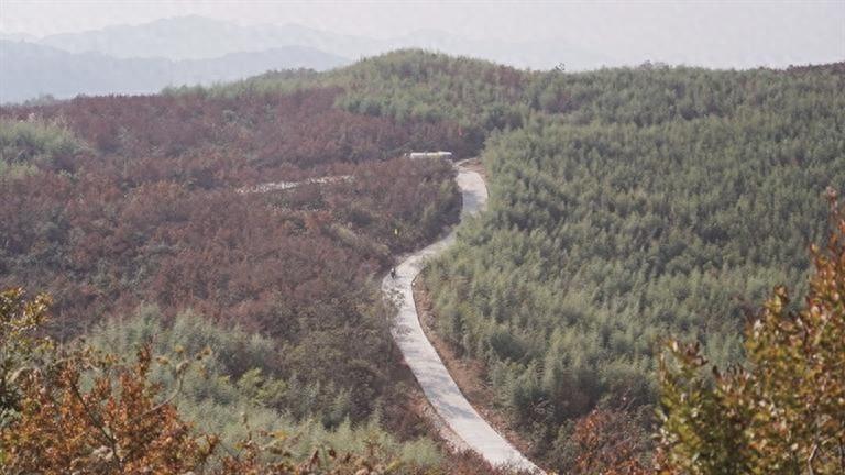 野生百合原生境保护区建设项目即将完工，你知道它有多重要吗？